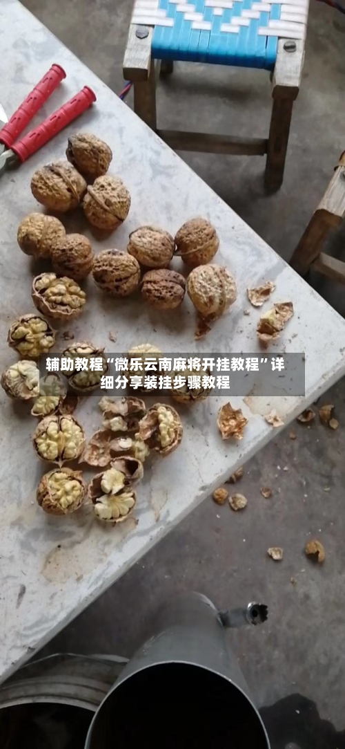 辅助教程“微乐云南麻将开挂教程”详细分享装挂步骤教程