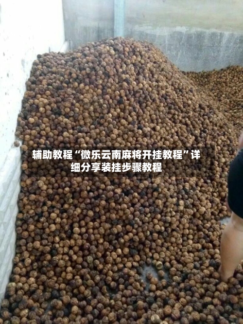 辅助教程“微乐云南麻将开挂教程	”详细分享装挂步骤教程-第2张图片