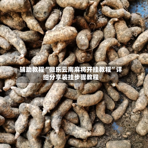 辅助教程“微乐云南麻将开挂教程”详细分享装挂步骤教程-第3张图片