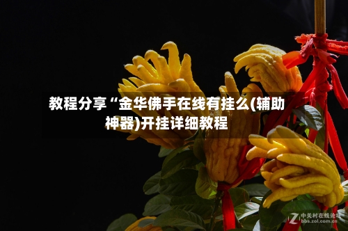 教程分享“金华佛手在线有挂么(辅助神器)开挂详细教程