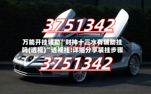 万能开挂辅助“财神十三水有辅助挂吗(透视)	”透视挂!详细分享装挂步骤-第3张图片