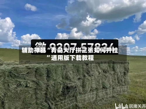 辅助神器“青岛大厅拼三张如何开挂”通用版下载教程-第2张图片