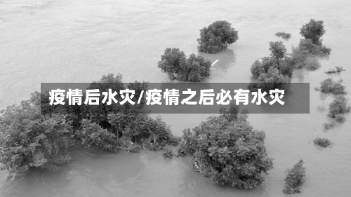 疫情后水灾/疫情之后必有水灾