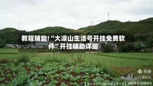 教程辅助!“大凉山生活号开挂免费软件”开挂辅助详细-第2张图片