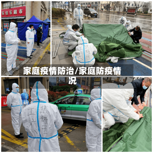 家庭疫情防治/家庭防疫情况-第1张图片