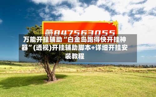 万能开挂辅助“白金岛跑得快开挂神器”(透视)开挂辅助脚本+详细开挂安装教程-第3张图片