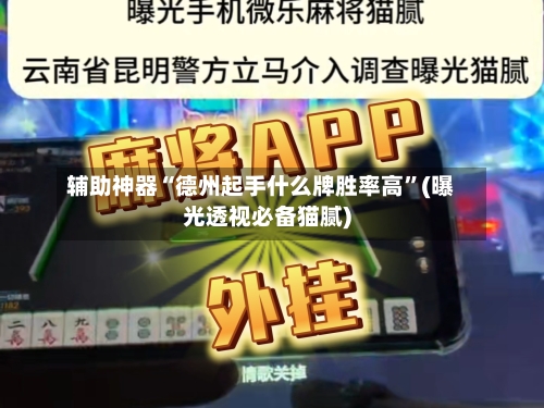 辅助神器“德州起手什么牌胜率高”(曝光透视必备猫腻)-第1张图片