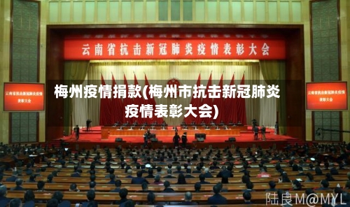 梅州疫情捐款(梅州市抗击新冠肺炎疫情表彰大会)-第2张图片