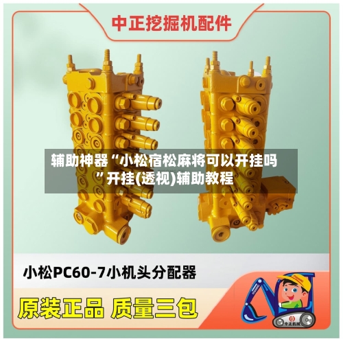 辅助神器“小松宿松麻将可以开挂吗”开挂(透视)辅助教程