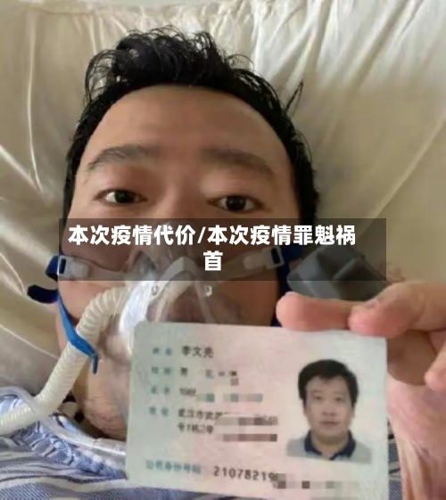 本次疫情代价/本次疫情罪魁祸首