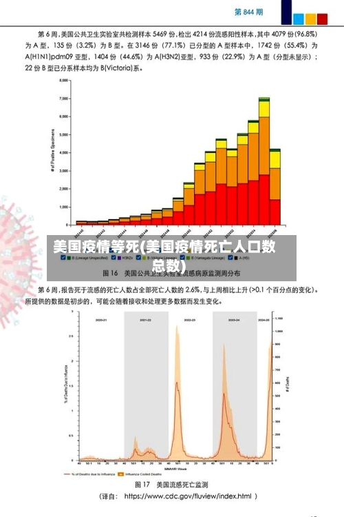 美国疫情等死(美国疫情死亡人口数总数)-第1张图片