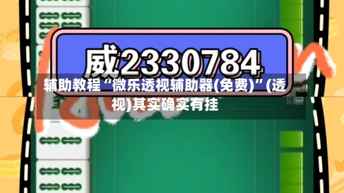 辅助教程“微乐透视辅助器(免费)	”(透视)其实确实有挂-第1张图片