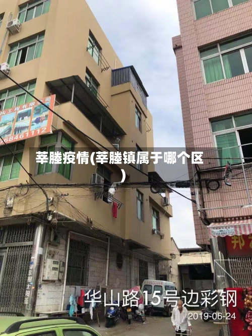 莘塍疫情(莘塍镇属于哪个区)-第2张图片