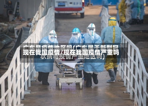 现在我国疫情/现在我国疫情严重吗