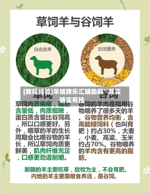 [教程经验]羊城牌乐汇辅助器	”其实确实有挂-第1张图片