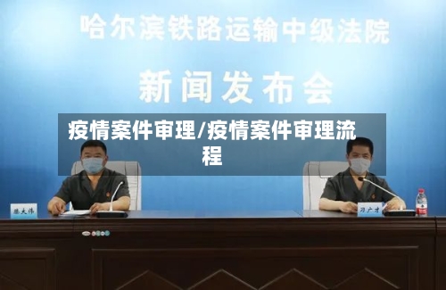 疫情案件审理/疫情案件审理流程