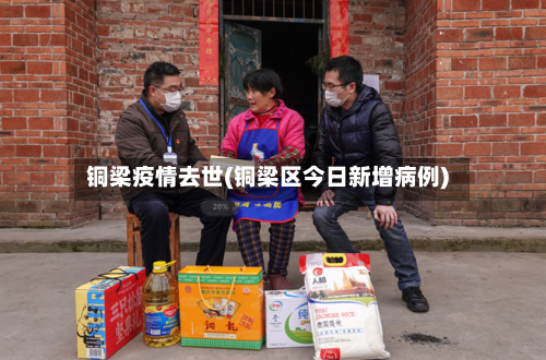 铜梁疫情去世(铜梁区今日新增病例)-第1张图片