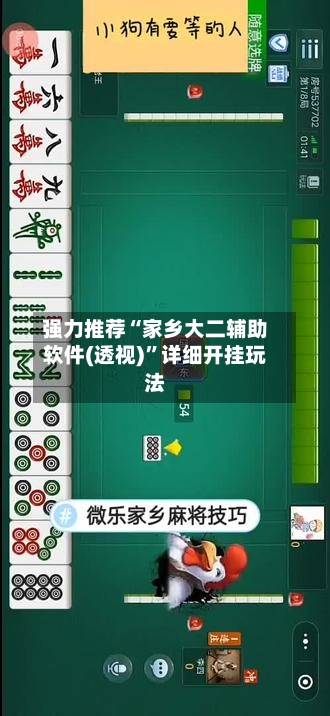 强力推荐“家乡大二辅助软件(透视)	”详细开挂玩法-第1张图片