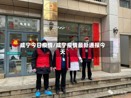 咸宁今日疫情/咸宁疫情最新通报今天-第3张图片