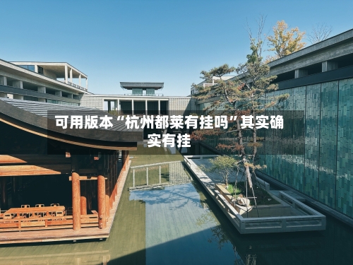 可用版本“杭州都莱有挂吗	”其实确实有挂-第2张图片