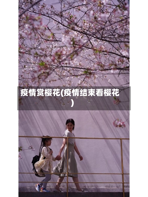疫情赏樱花(疫情结束看樱花)-第1张图片