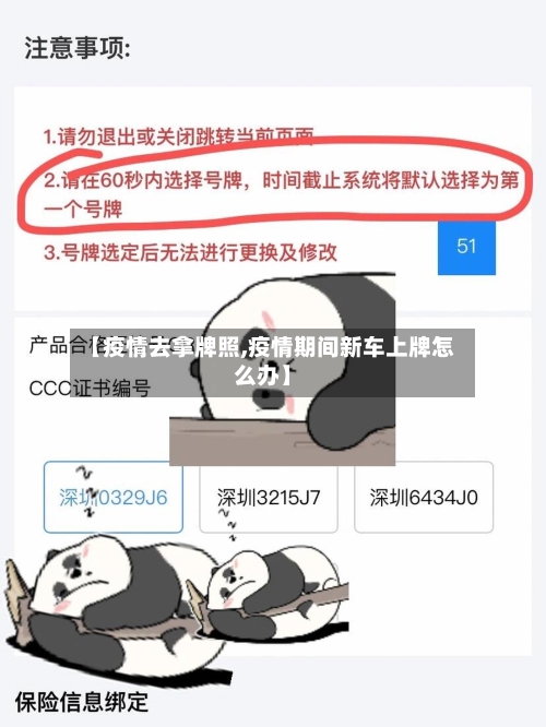 【疫情去拿牌照,疫情期间新车上牌怎么办】-第3张图片