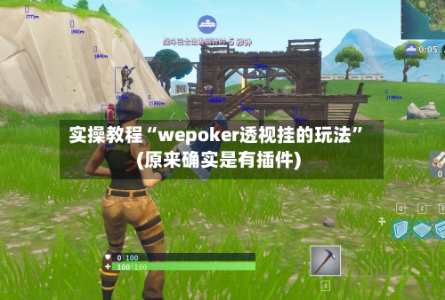 实操教程“wepoker透视挂的玩法	”(原来确实是有插件)-第1张图片