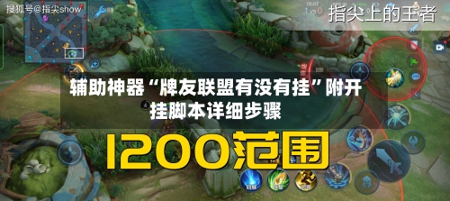 辅助神器“牌友联盟有没有挂”附开挂脚本详细步骤-第3张图片