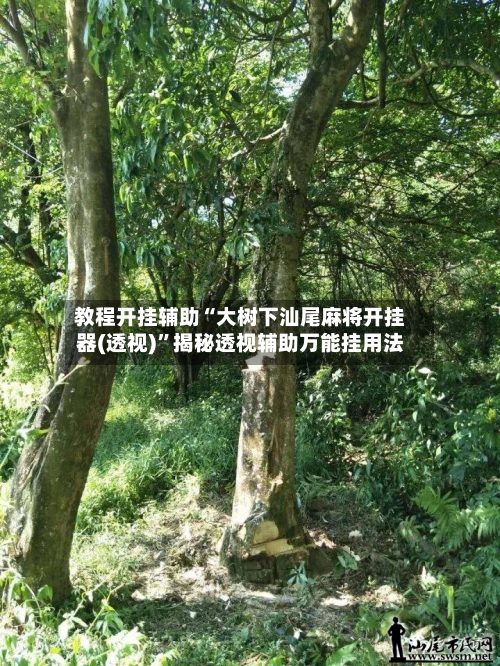 教程开挂辅助“大树下汕尾麻将开挂器(透视)”揭秘透视辅助万能挂用法