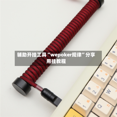 辅助开挂工具“wepoker规律”分享用挂教程-第1张图片