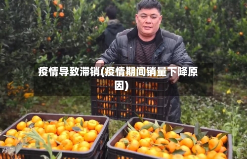 疫情导致滞销(疫情期间销量下降原因)-第1张图片