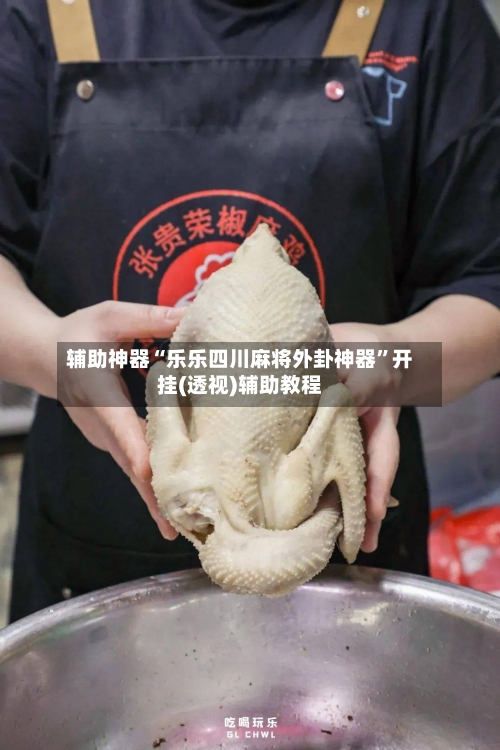 辅助神器“乐乐四川麻将外卦神器”开挂(透视)辅助教程