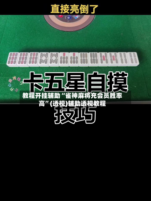 教程开挂辅助“雀神麻将充会员胜率高”(透视)辅助透视教程-第1张图片