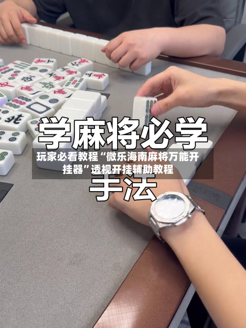 玩家必看教程“微乐海南麻将万能开挂器”透视开挂辅助教程-第3张图片