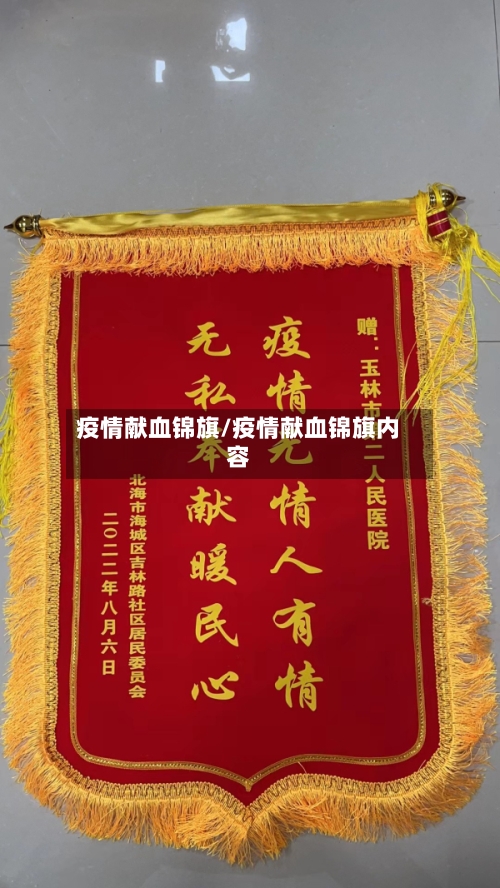 疫情献血锦旗/疫情献血锦旗内容