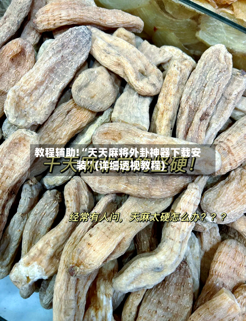 教程辅助!“天天麻将外卦神器下载安装”(详细透视教程)-第1张图片