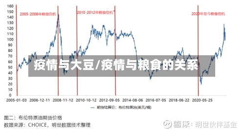 疫情与大豆/疫情与粮食的关系