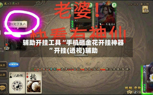 辅助开挂工具“手机砸金花开挂神器	”开挂(透视)辅助-第1张图片