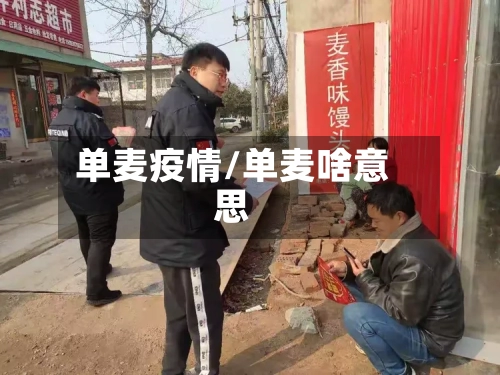 单麦疫情/单麦啥意思-第3张图片