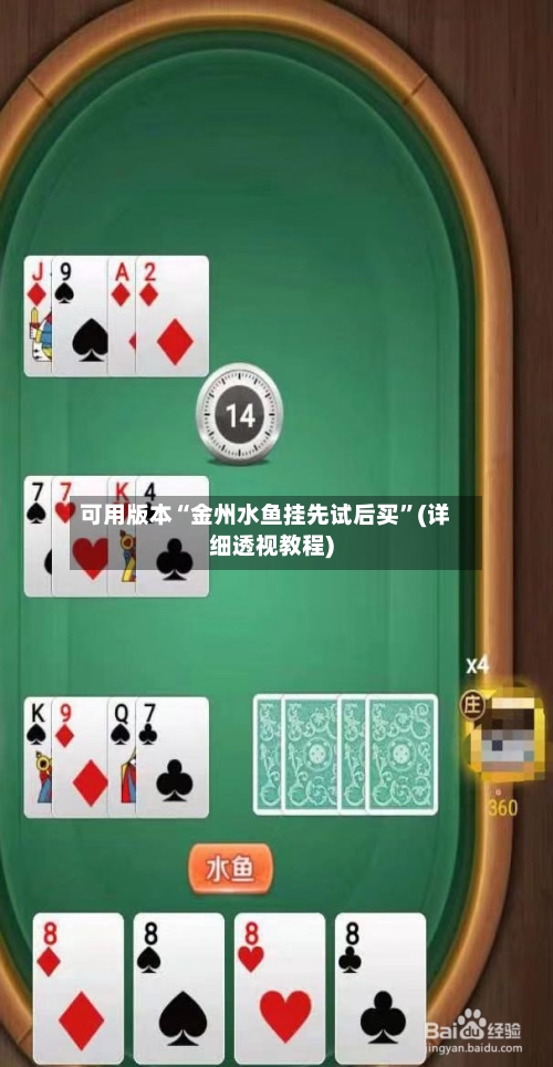 可用版本“金州水鱼挂先试后买	”(详细透视教程)-第2张图片