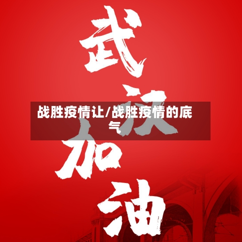 战胜疫情让/战胜疫情的底气-第1张图片