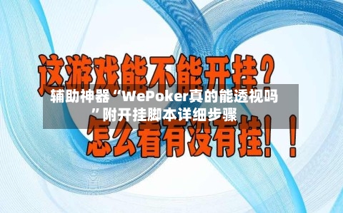辅助神器“WePoker真的能透视吗”附开挂脚本详细步骤-第3张图片