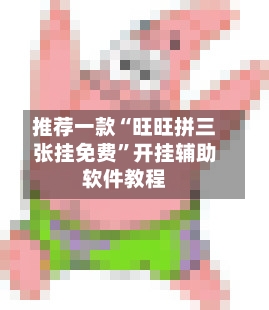 推荐一款“旺旺拼三张挂免费”开挂辅助软件教程-第3张图片