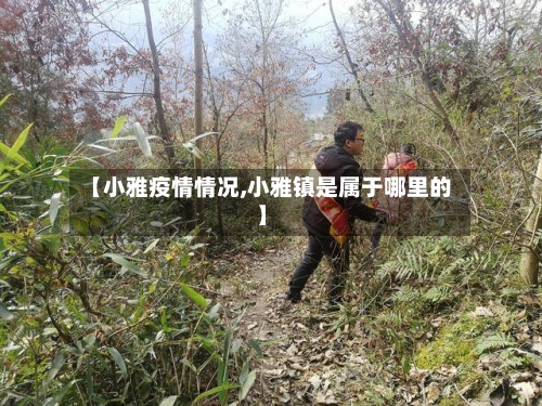 【小雅疫情情况,小雅镇是属于哪里的】