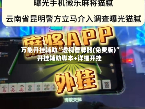 万能开挂辅助“透视看牌器(免费版)	”开挂辅助脚本+详细开挂-第2张图片