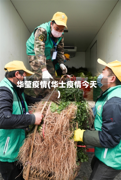 华莹疫情(华士疫情今天)