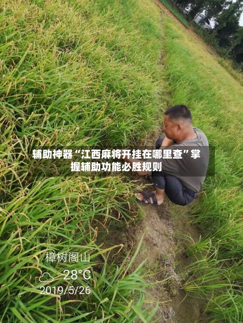 辅助神器“江西麻将开挂在哪里查”掌握辅助功能必胜规则