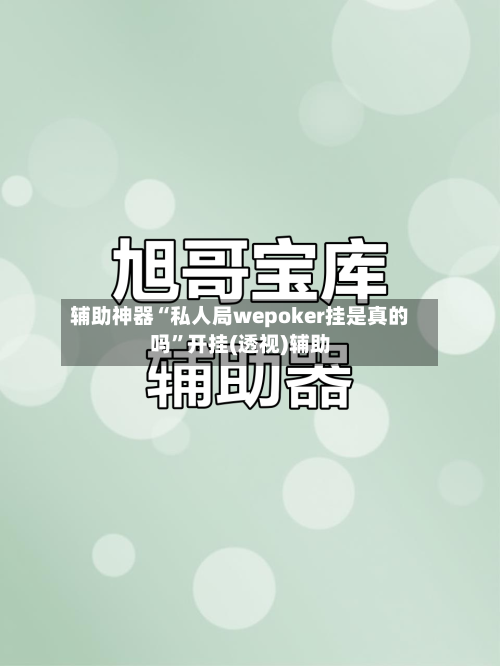 辅助神器“私人局wepoker挂是真的吗”开挂(透视)辅助-第2张图片