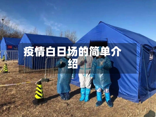 疫情白日场的简单介绍-第2张图片