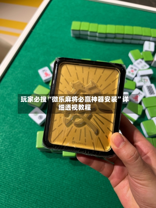 玩家必搜“微乐麻将必赢神器安装	”详细透视教程-第1张图片